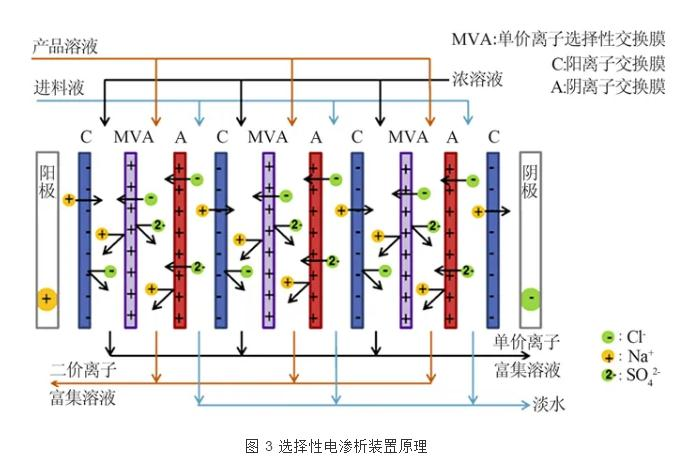 图片30