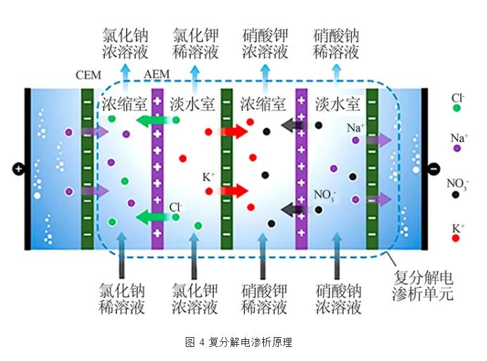 图片31