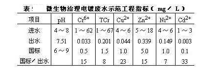 图片9