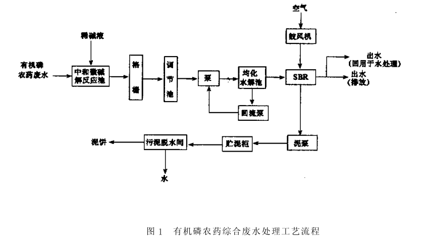 图片11