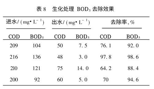 图片24