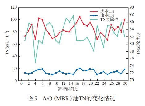 图片29