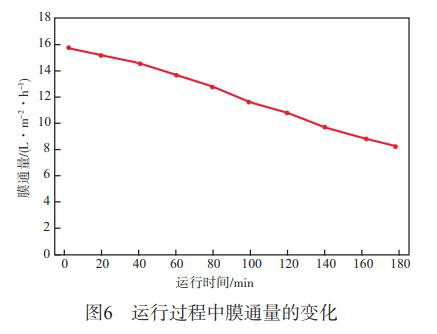 图片30