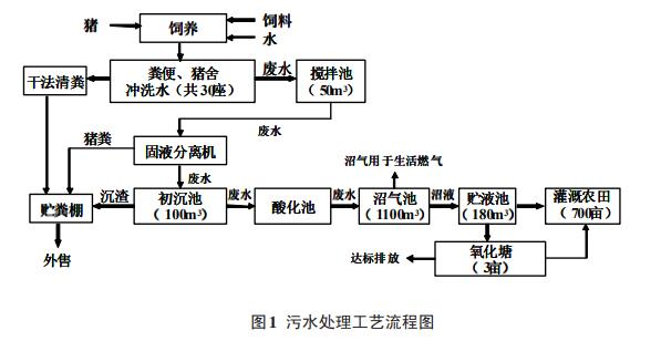 图片9