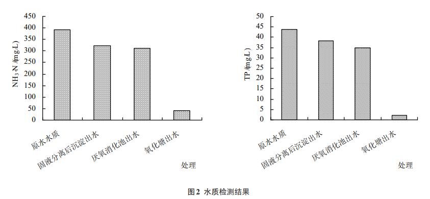 图片12