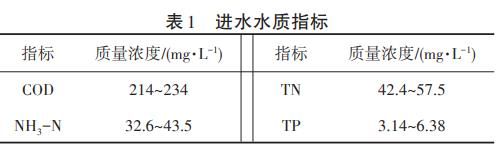 图片31