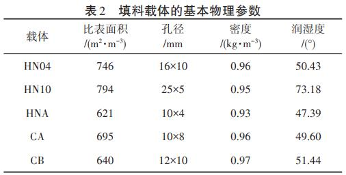 图片33