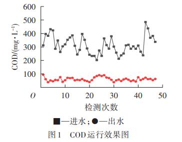 图片34