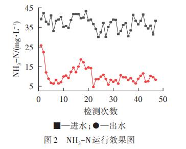 图片35