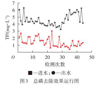 图片36