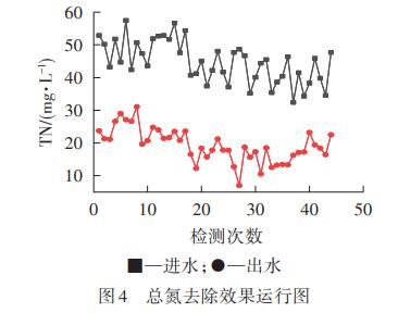 图片37