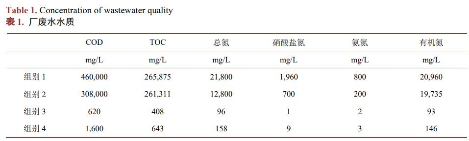 图片11