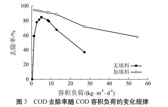 图片19