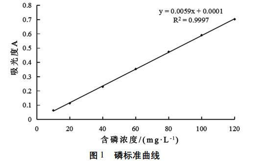 图片13