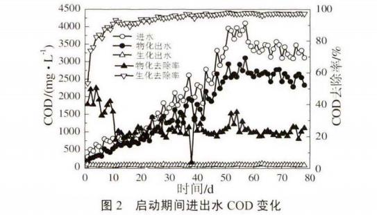 图片9