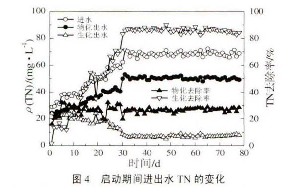 图片11