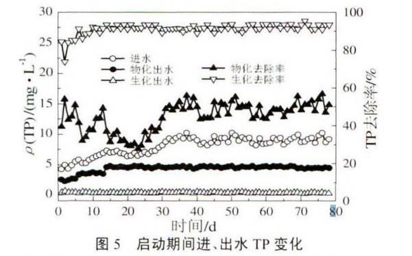 图片12