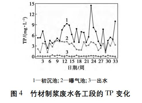 图片10