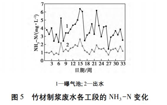 图片11