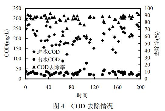 图片34