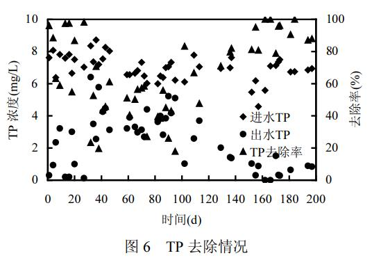 图片36