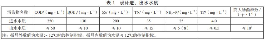 图片17