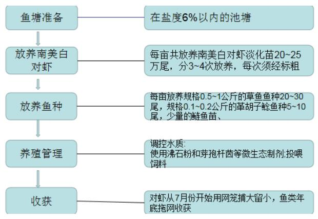 图片13