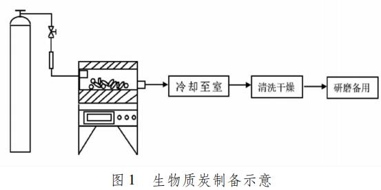 图片9