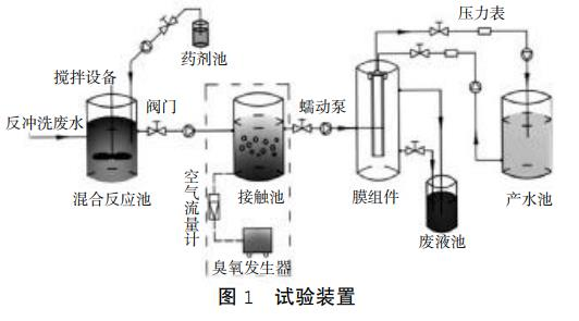 图片9