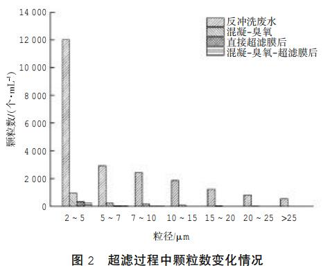 图片12