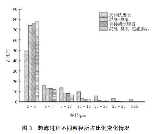 图片13