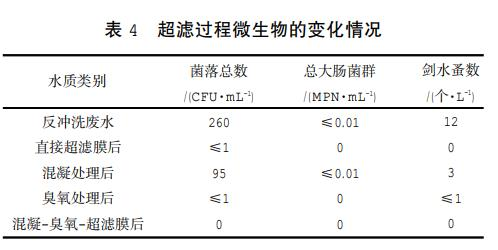 图片14