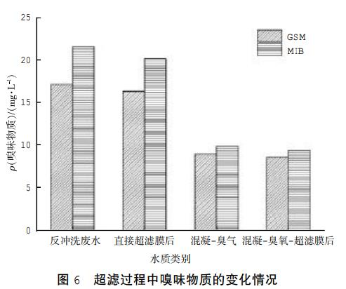 图片17