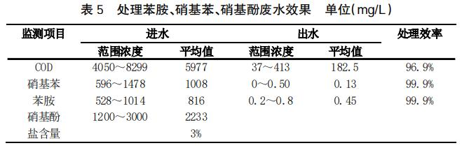 图片9