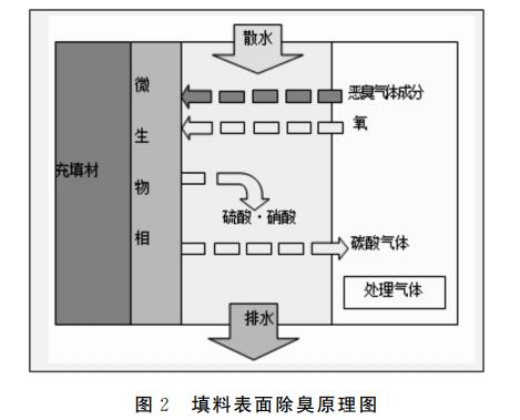 图片15