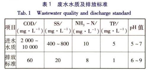 图片9