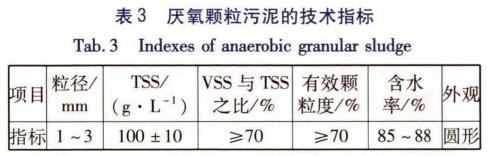 图片12