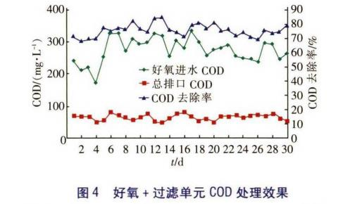 图片15