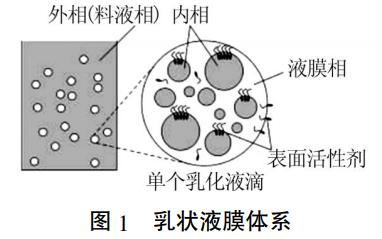 图片8