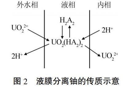 图片9