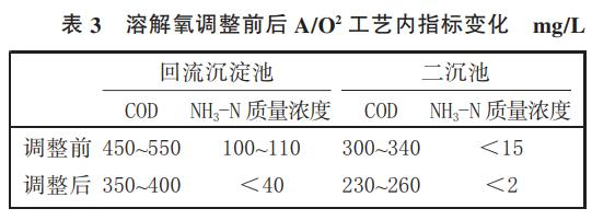 图片11