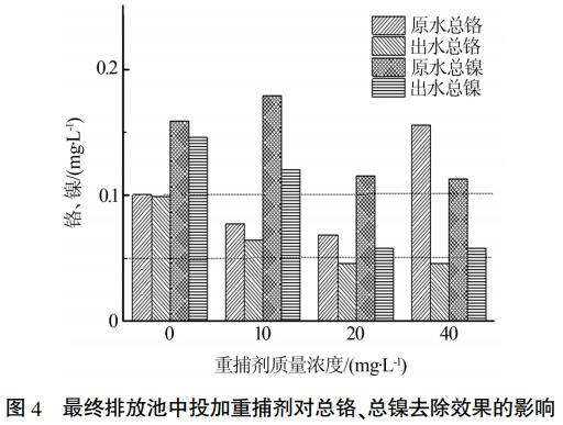 图片16