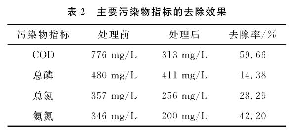 图片30