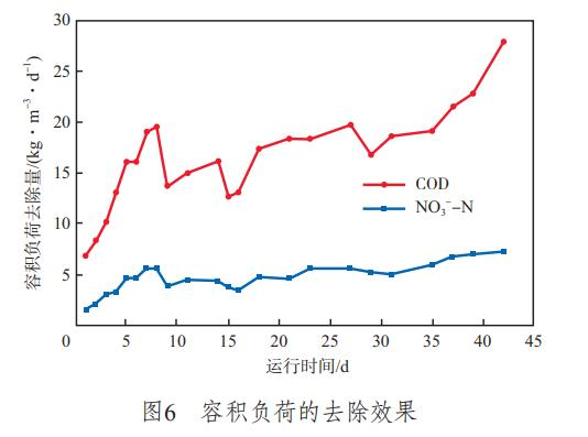 图片7