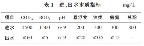 图片11