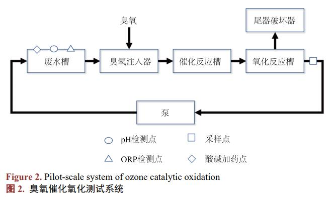 图片31