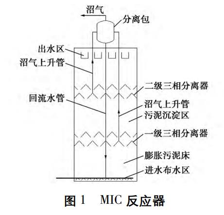 图片11