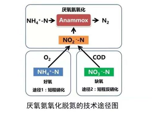 2_编辑